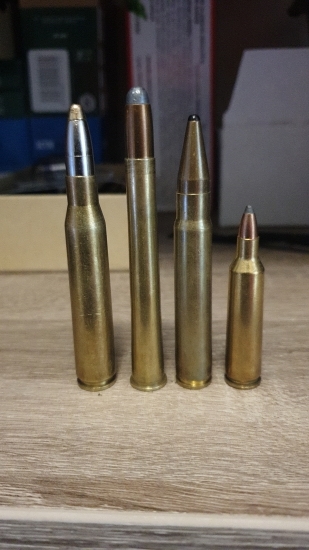 RWS Evo8x68s- SP 8x72R-9,3x62 FoxBullets-22-250 Sako SP