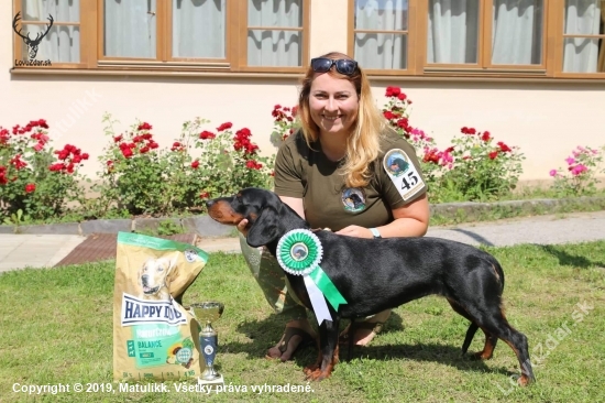 Najkrajšia sučka Špeciálnej výstavy slovenských kopovov, Herľany 2019