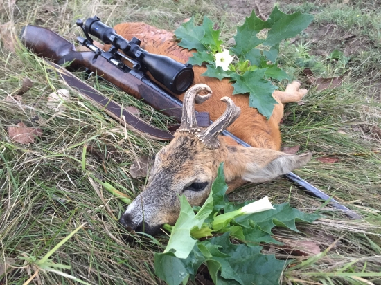 Nečakané prekvapenie na záver sezóny