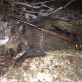 Predvianočný diviačik