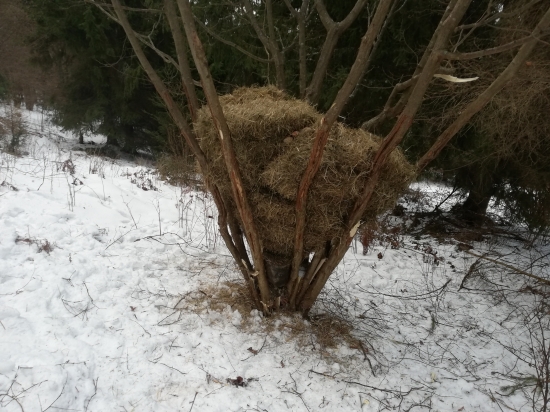 Doplnenie sena a soli