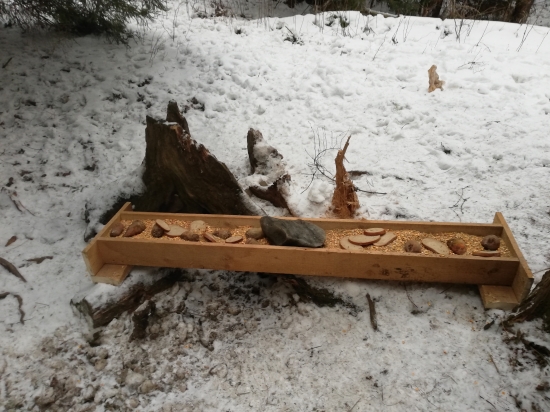 Novoročné prikrmovanie