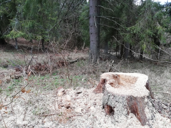 Ďalšie solisko pripravené