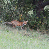 Stretol sa nám pohľad....