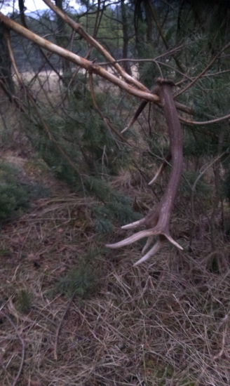 Na parádu ani zohnúť sa netreba.