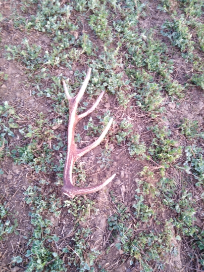 Dobre založený mladík.