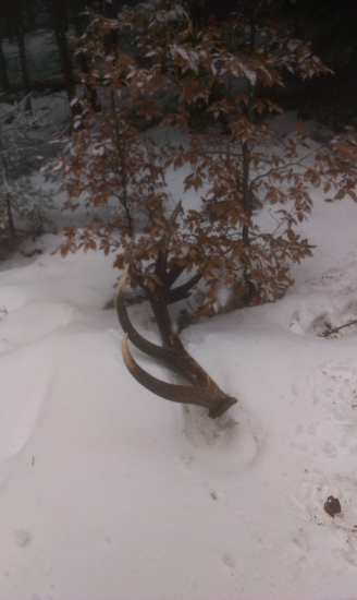 Prvý pohľad je najkrajší.