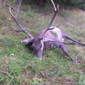 Spomienka na prvého.