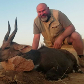 Bushbuck