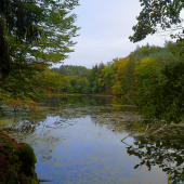 Krčák