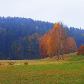 Podzimní