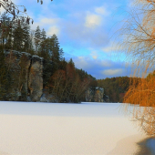 Věžický rybník