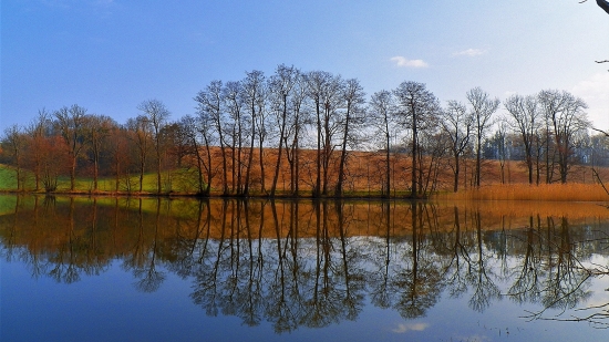 Zrcadlení