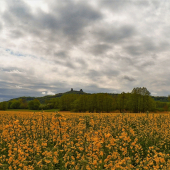 hrad Trosky