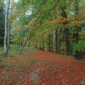Podzim