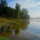 U rybnika