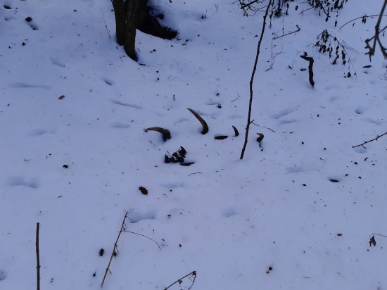 Nedeľná prechádzka