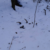 Nedeľná prechádzka