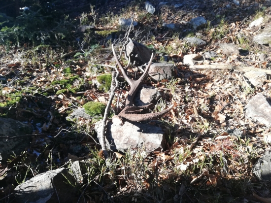 12torak do páru, pekne na slniecku