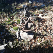 12torak do páru, pekne na slniecku