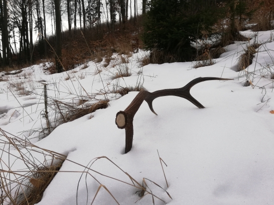 Premňa najkrajší pohľad aký môže byť