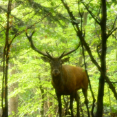 trošku sme sa obzerali