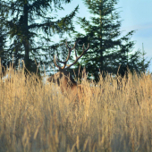Takto si  to predstavujem