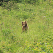 tak sa mi dobre sedi