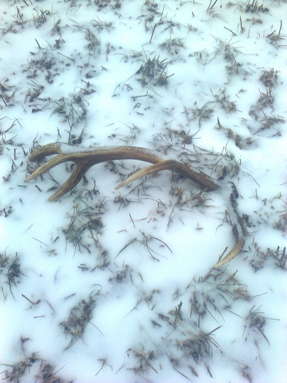 Zima este nepovedala svoje posledne slovo...