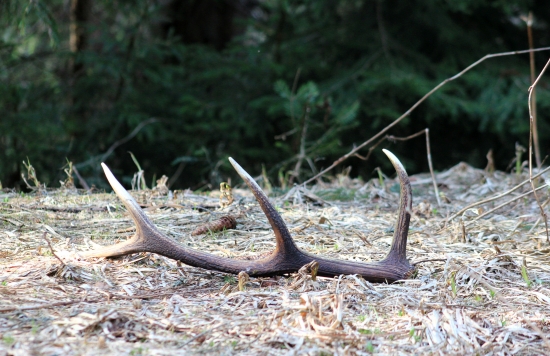 Len tak si tam ležal