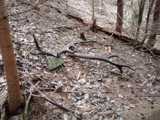 keď pohľad srdce pookreje