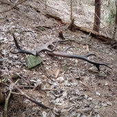 keď pohľad srdce pookreje