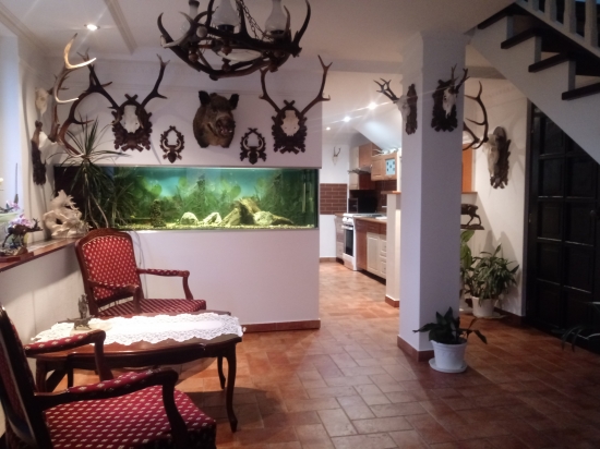 tam, kde sa cítim doma....