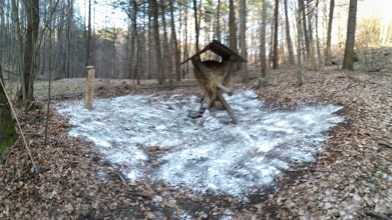 Dezinfekcia krmoviska