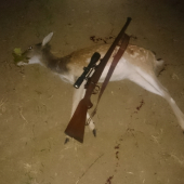 Podvečerný úlovok