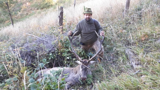 Z ruje 2019