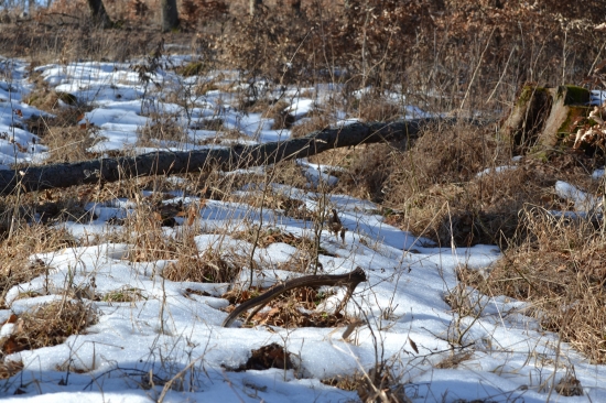 sezónu treba nejako začať ;-)