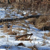 sezónu treba nejako začať ;-)
