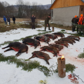 Spoločná poľovačka