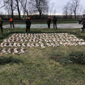 Dnešná polovačka na zajace