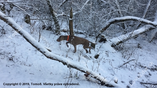 Na spoločnej