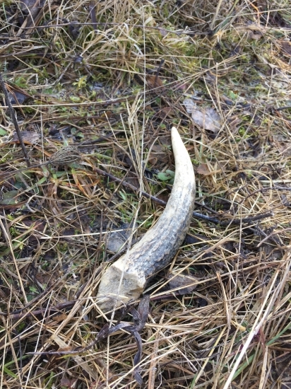 To bol iba začiatok...