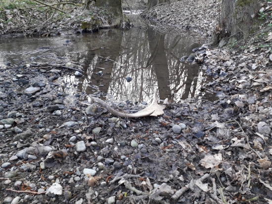 Oplatilo sa skoro ráno vstávať