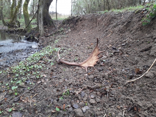 Oplatilo sa skoro ráno vstávať 2