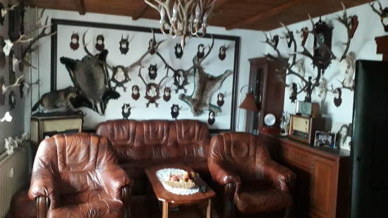 Moja polovnicka izba