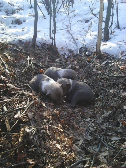 Niekde na blízku bude Mama treba ísť preč