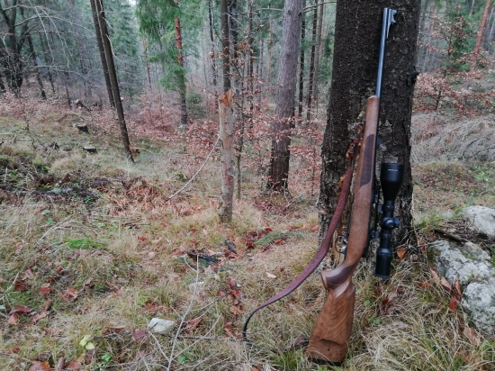 CZ 557 LUX