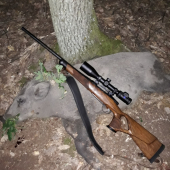 Diviačik z piatkovej noci