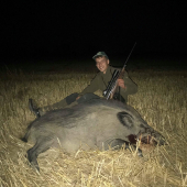 Na čerstvom strnisku