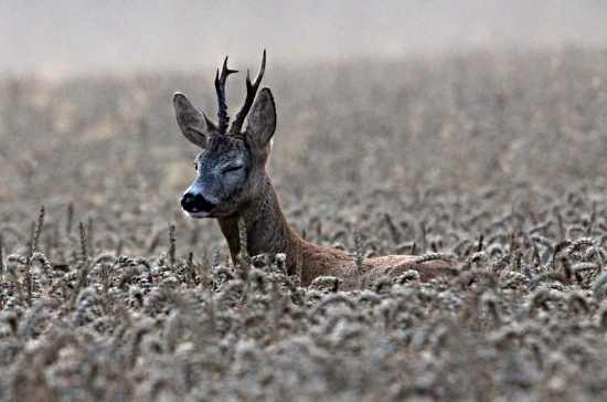 S přivřeným světlem